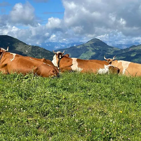 Reitstall Henntalhof Daire Kitzbühel