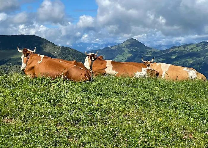 Reitstall Henntalhof Appartement Kitzbühel